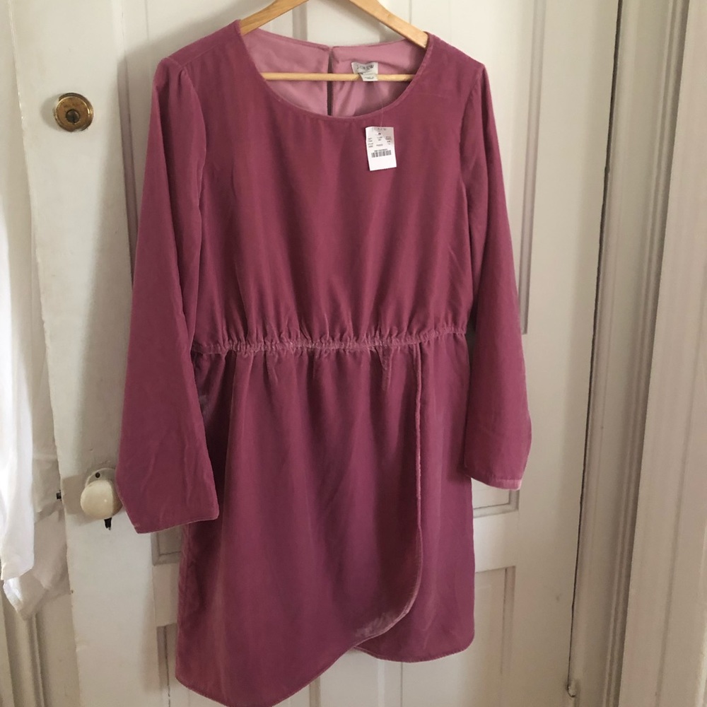 J Crew orchid velvet dress